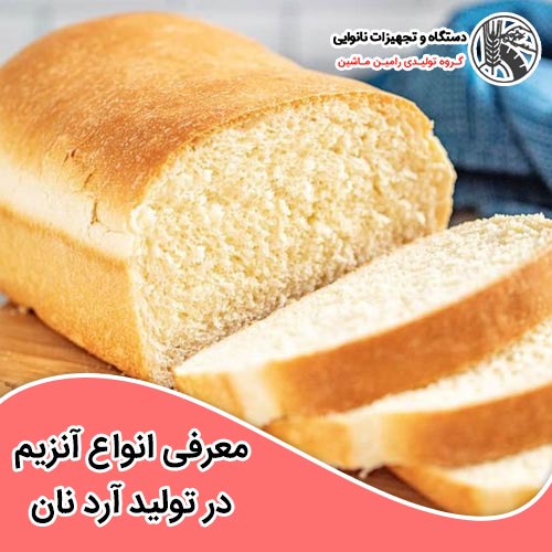 آنزیم در تولید آرد نان